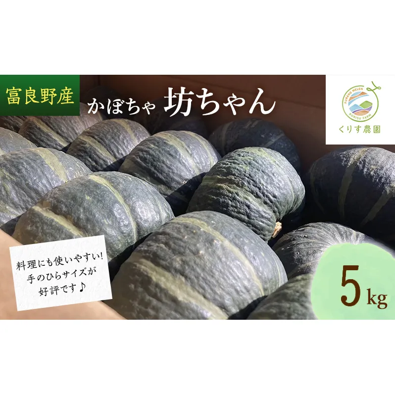 【2025年9月より順次発送】北海道富良野産かぼちゃ「坊ちゃん」5kg　※手のひらサイズが好評です！