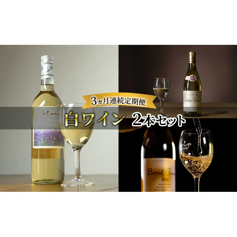 【全3回白ワイン定期便 3ヵ月連続！白ワイン2本セット】※申込の翌月から お酒 酒 ワイン ぶどう 飲み物 アルコール 北海道 送料無料 道産 富良野市 ふらの