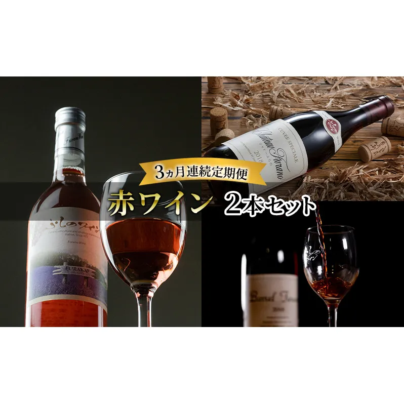 【全3回赤ワイン定期便 3ヵ月連続！赤ワイン2本セット】※申込の翌月から お酒 酒 ワイン ぶどう 飲み物 アルコール 北海道 送料無料 道産 富良野市 ふらの