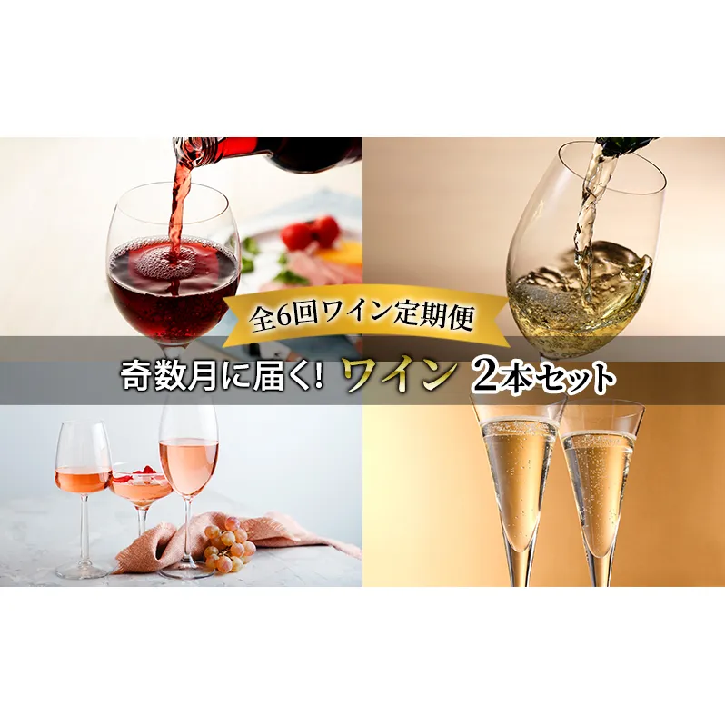 【全6回ワイン定期便 奇数月に届く！ワイン2本セット】赤 白 ロゼ スパークリング白 ※申込の翌月から お酒 酒 ワイン ぶどう 飲み物 アルコール 北海道 送料無料 道産 富良野市 ふらの