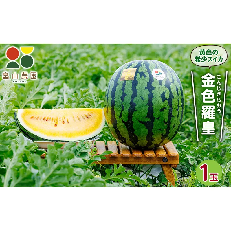 先行予約 富良野産 大玉 スイカ 金色羅皇 2L 7kg 以上×1玉 令和7年産 2026年産 北海道 富良野 ふらの 大玉 すいか 西瓜 果物 くだもの こんじきらおう 黄色 ゴールド 甘い