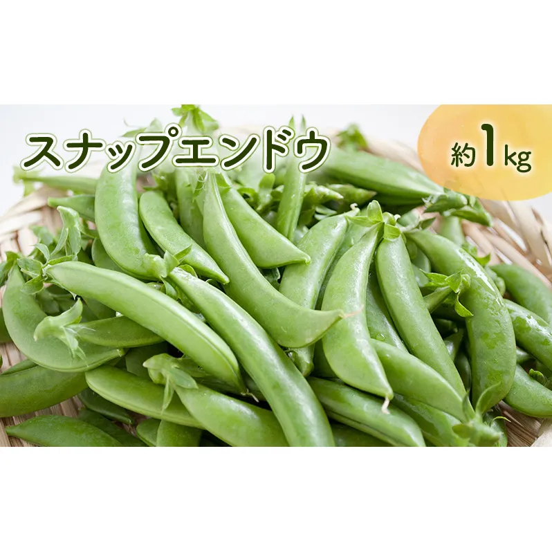 【先行予約】 《収穫次第順次発送》  富良野市産 スナップえんどう 1kg 野菜 旬 新鮮 富良野 エンドウ 豆 スナックエンドウ スナップ えんどう豆 ふらの 畠山農園