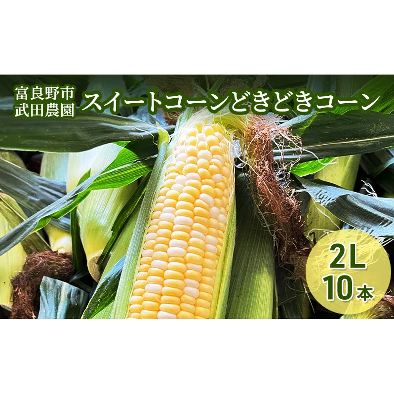 ［武田農園とれたて直送］スイートコーン どきどきコーン 2L 10本 北海道 富良野産 とうもろこし 野菜 新鮮 とうきび 甘い 産地直送 先行予約 限定