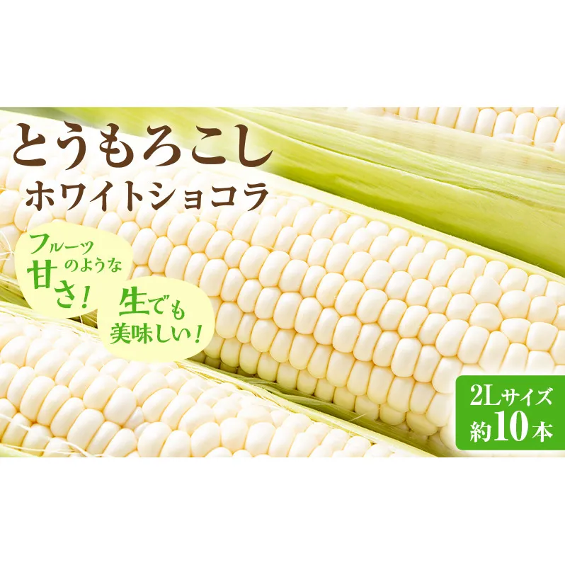 【2026年先行受付】富良野産 とうもろこし ホワイトコーン 約10本 コーン とうきび トウモロコシ ホワイトショコラ 2Lサイズ 野菜 甘い BBQ 北海道 富良野 ふらの