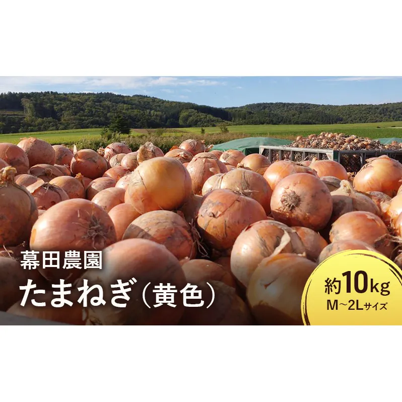 【2025年先行受付】富良野産 黄色 玉ねぎ 約10kg（約30～40玉） M～2Lサイズ　野菜 新鮮 直送 黄玉ねぎ 玉葱 玉ネギ 道産 北海道 富良野市 ふらの 幕田農園