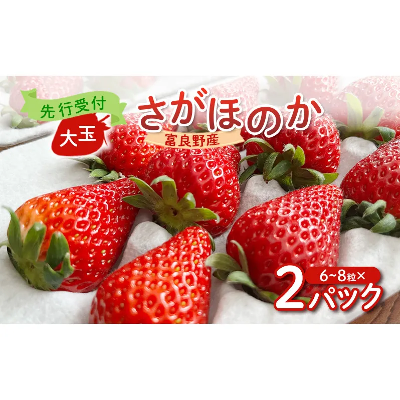 【2026年先行予約】 富良野産 いちご さがほのか 大玉 6～8粒×2パック　［ フルーツ 果物 新鮮 贈り物 ギフト フルーツ 生いちご イチゴ 苺 大粒 甘い 道産 北海道 富良野 ］