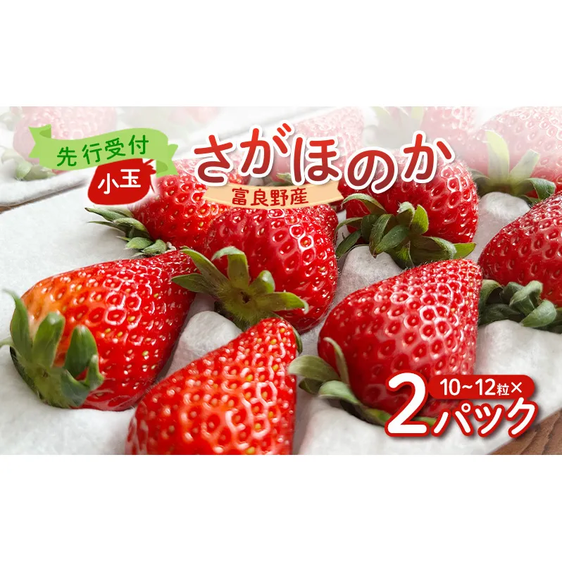 【2026年先行予約】 富良野産 いちご さがほのか 小玉 10～12粒×2パック　［ フルーツ 果物 新鮮 贈り物 ギフト フルーツ 生いちご イチゴ 苺 大粒 甘い 道産 北海道 富良野 ］