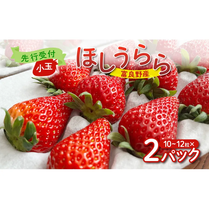 【2026年先行予約】 富良野産 いちご ほしうらら 小玉 10～12粒×2パック　［ フルーツ 果物 新鮮 贈り物 ギフト フルーツ 生いちご イチゴ 苺 大粒 甘い 道産 北海道 富良野 ］