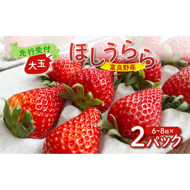 【2026年先行予約】 富良野産 いちご ほしうらら 大玉 6～8粒×2パック　［ フルーツ 果物 新鮮 贈り物 ギフト フルーツ 生いちご イチゴ 苺 大粒 甘い 道産 北海道 富良野 ］
