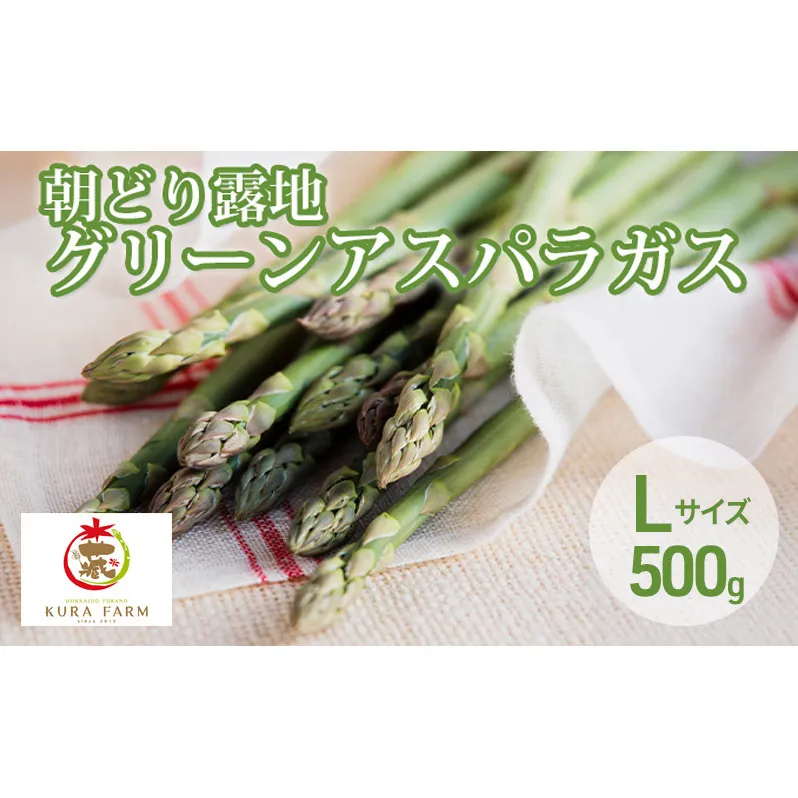 【2026年5月より発送】北海道 富良野市産 アスパラ 緑 (Lサイズ) 約500g 朝どり 露地 グリーン アスパラガス 詰め合わせ 野菜 新鮮 数量限定 先着順【藏ファーム】