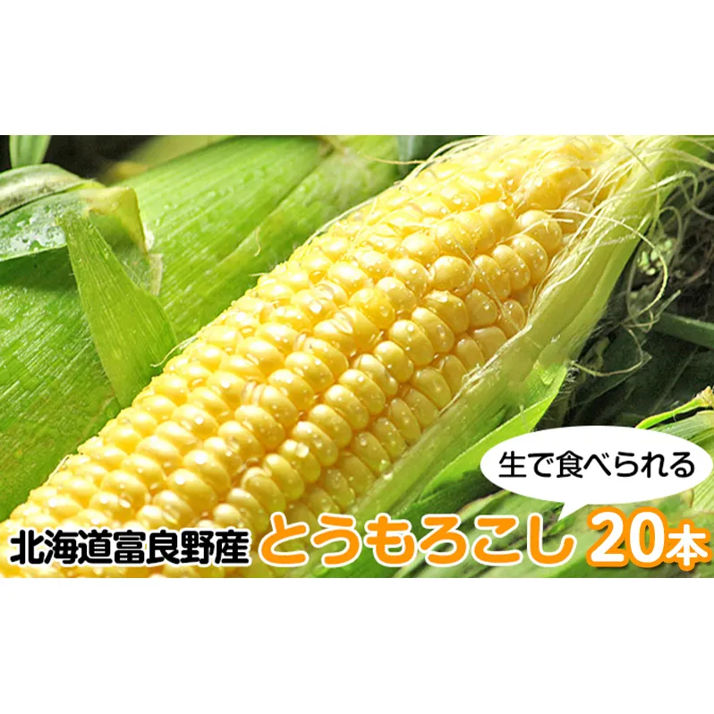 【2026年8月～発送】北海道 富良野産 生で食べられる とうもろこし【恵味（めぐみ）】 20本 (スイートベジタブルファクトリー) とうもろこし とうきび コーン 野菜 新鮮 甘い ジューシー 贈り物
