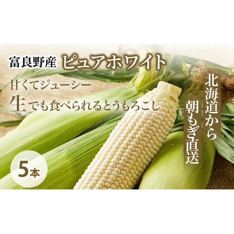 【2026年夏発送】とうもろこし ピュアホワイト 5本 L~2Lサイズ 富良野産 生で食べられる 野菜