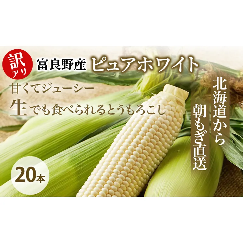 【2026年夏発送】訳あり とうもろこし ピュアホワイト 20本 富良野産 生で食べられる コーン