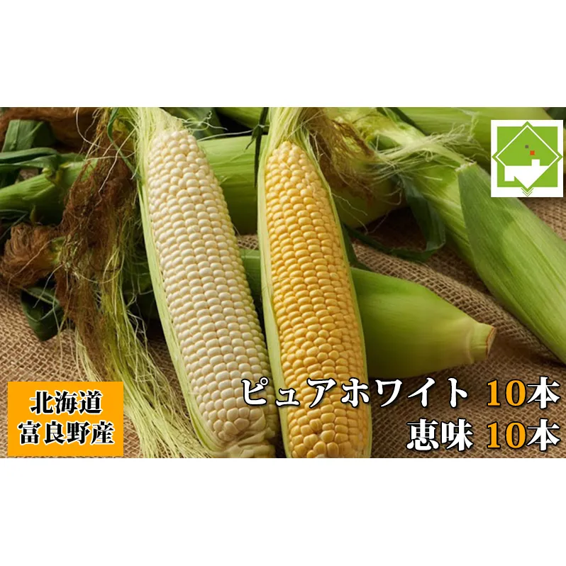 【2026年8月～発送】トウモロコシ 2種類セット 20本入 生で食べれる ピュアホワイト＆恵味(めぐみ) 北海道 富良野市 (スイートベジタブルファクトリー) とうもろこし とうきび コーン 野菜 新鮮 甘い