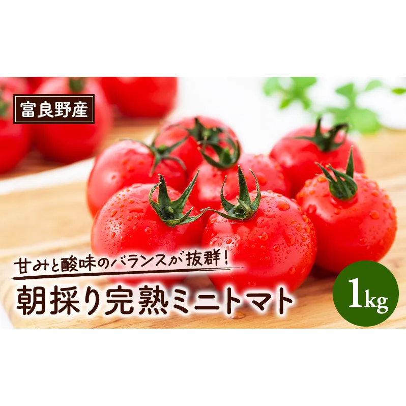 【2026年6月下旬～発送】完熟　富良野トマト　(ミニトマト)【約1kg】 (スイートベジタブルファクトリー) 野菜 新鮮 直送 朝採り トマト ミニトマト 道産 北海道 ふらの