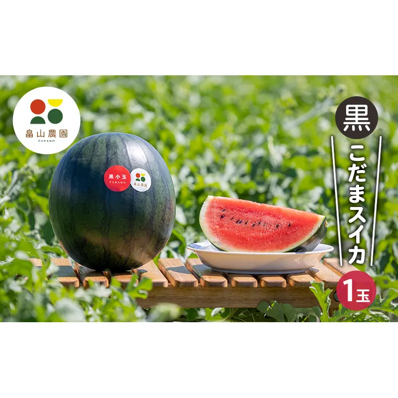 【2026夏発送】黒こだま スイカ 1玉 (2kg以上) 北海道 富良野産 すいか 西瓜 夏 フルーツ ふらの 甘い 糖度 小玉 (畠山農園)
