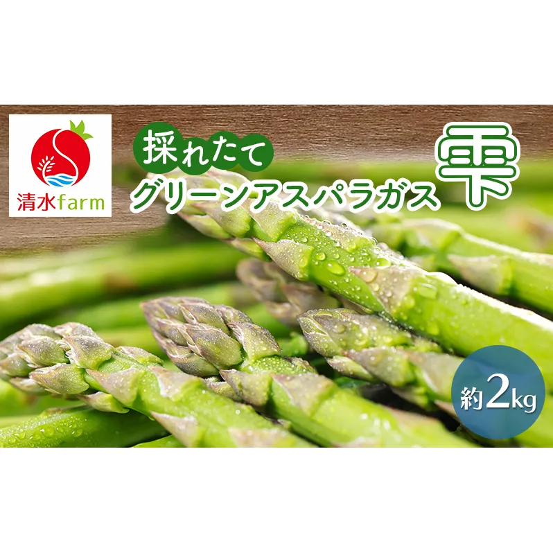【2026年4月発送】富良野産 採れたて直送! グリーンアスパラ 「雫」 M～2L サイズ混合 【約2kg】 (清水farm) アスパラ アスパラガス 野菜 新鮮 季節限定 北海道 富良野 ふらの