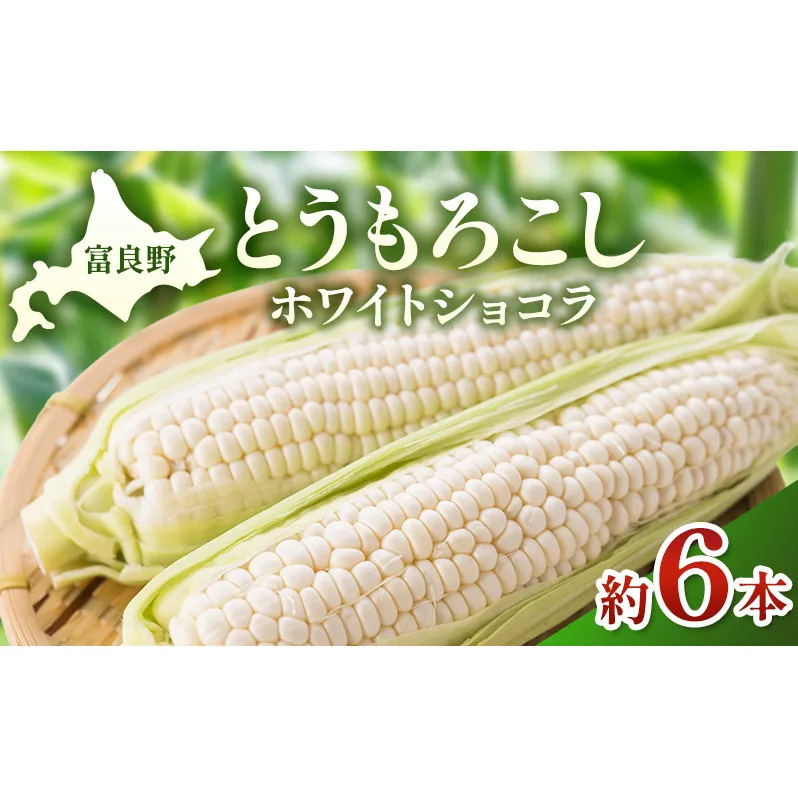 【2026年夏発送】富良野産 とうもろこし ホワイトショコラ 約6本 [近藤農園] とうもろこし コーン とうきび 野菜 新鮮 甘い 贈り物 ギフト 道産 ジューシー ふらの ブランド 夏 北海道 富良野市