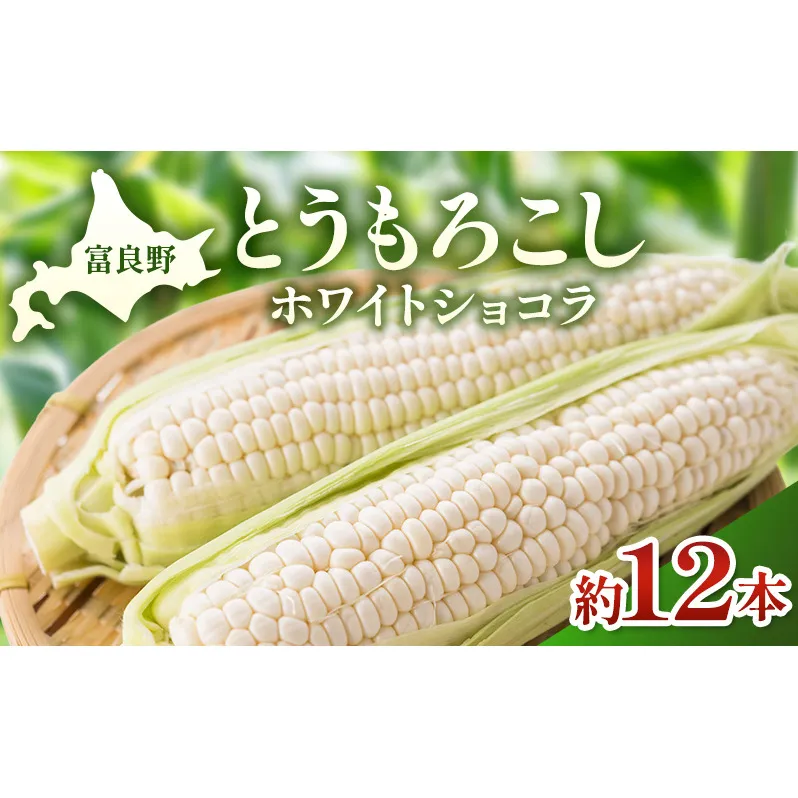【2026年夏発送】富良野産 とうもろこし ホワイトショコラ 約12本 [近藤農園] とうもろこし コーン とうきび 野菜 新鮮 甘い 贈り物 ギフト 道産 ジューシー ふらの ブランド 夏 北海道 富良野市