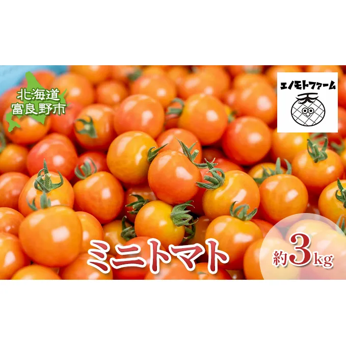 【2026年夏～発送】北海道 富良野産 ミニトマト 約3kg キャロル10 トマト (榎本農園) 富良野市 新鮮 直送 道産 ふらの 送料無料 数量限定 先着順 トマト 甘い 野菜