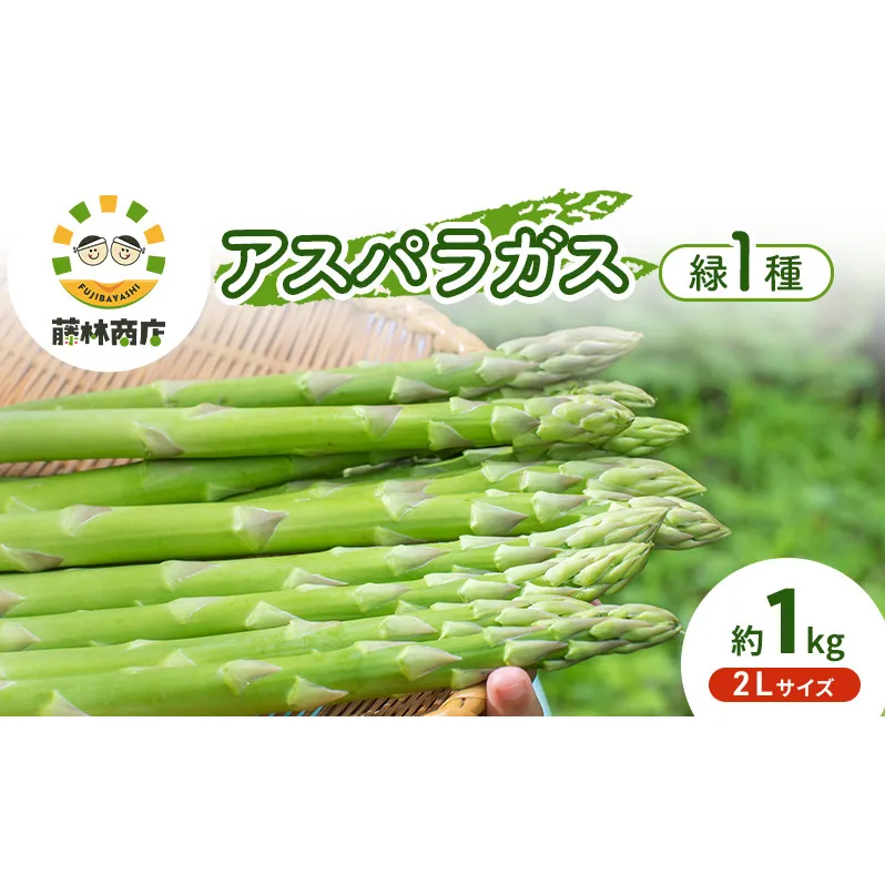 【2026年春発送】数量限定 グリーンアスパラガス 2Lサイズ 約1kg 野菜 アスパラ アスパラガス 新鮮 北海道 富良野