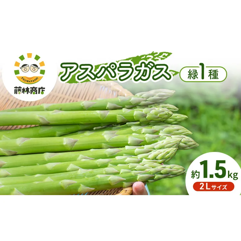 【2026年春発送】数量限定 グリーンアスパラガス 2Lサイズ 約1.5kg 野菜 アスパラ アスパラガス 新鮮 北海道 富良野