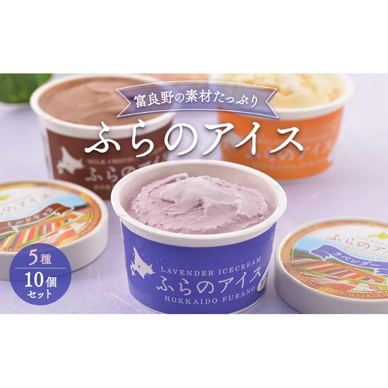 北海道富良野市 ふらの アイスクリーム 10個 5種×2個 (ディームファクトリー) アイス デザート 北海道 富良野市 道産 直送 ふらの 贈り物 ギフト