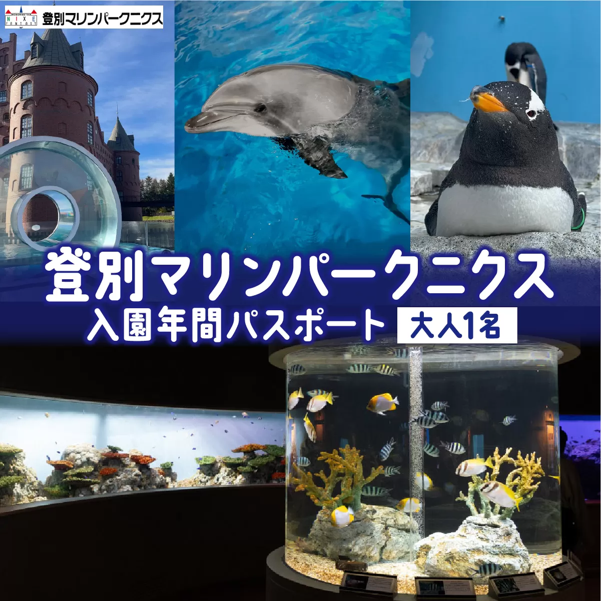 登別マリンパークニクス 入場券年間パスポート 大人 各1名 【 チケット 北海道 観光 旅行 体験 パーク 入場券 入園券 割引 北海道 水族館 動物園 イルカ アシカ ペンギン パレード】mr-0896