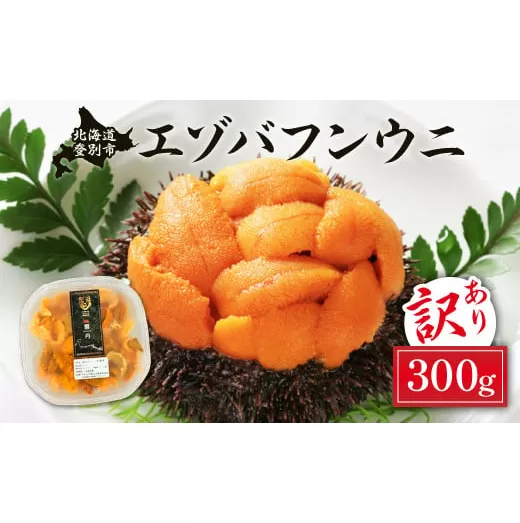 訳あり 規格外品 無添加 エゾバフンウニ 塩水パック 300g 配送期間Ａ：6月上旬～8月中旬迄 | ふるさと納税 うに 高級 ウニ 雲丹 生ウニ エゾバフンウニ 塩水パック 北海道 登別 ふるさと人気 ランキング 送料無料