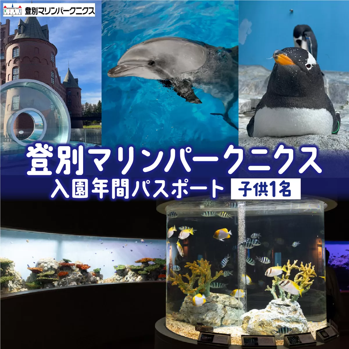 登別マリンパークニクス 入場券年間パスポート 子ども 1名 【 チケット 北海道 観光 旅行 体験 パーク 入場券 入園券 割引 北海道 水族館 動物園 イルカ アシカ ペンギン パレード】mr-0895