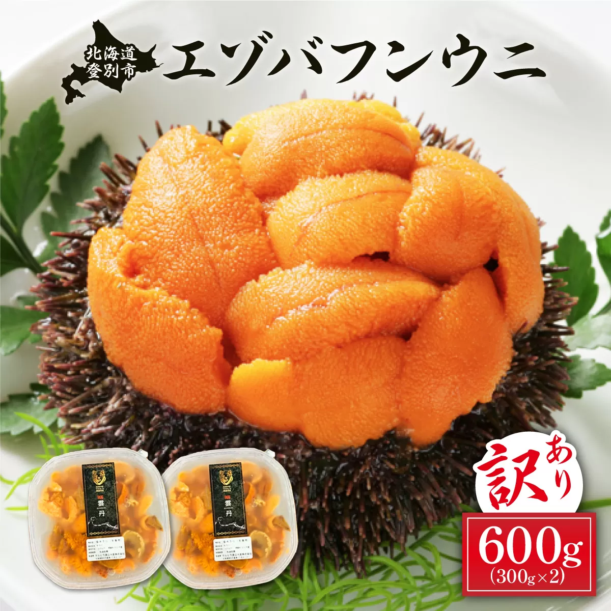 ≪規格外品600g≫無添加　エゾバフンウニ塩水パック600g 配送期間C：1月下旬〜3月下旬迄| ふるさと納税 うに 高級 ウニ 雲丹 生ウニ エゾバフンウニ 塩水パック 北海道 登別 ふるさと 人気 送料無料