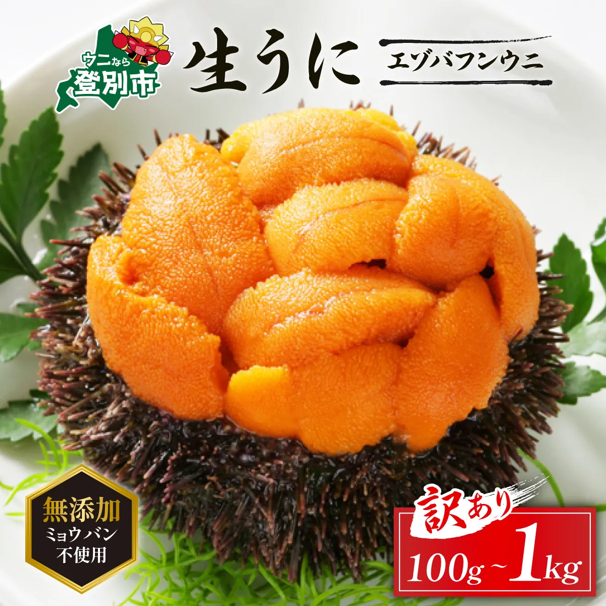 【ミョウバン不使用】訳あり 規格外品 無添加 エゾバフンウニ 塩水パック 100g 配送期間B:10月下旬～11月下旬迄 [mh-0906_B]