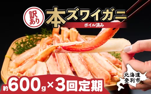 【定期便 3回お届け】訳あり 冷凍 ボイル ずわいがに 足 600g ズワイガニ ハーフポーション ギフト 2025