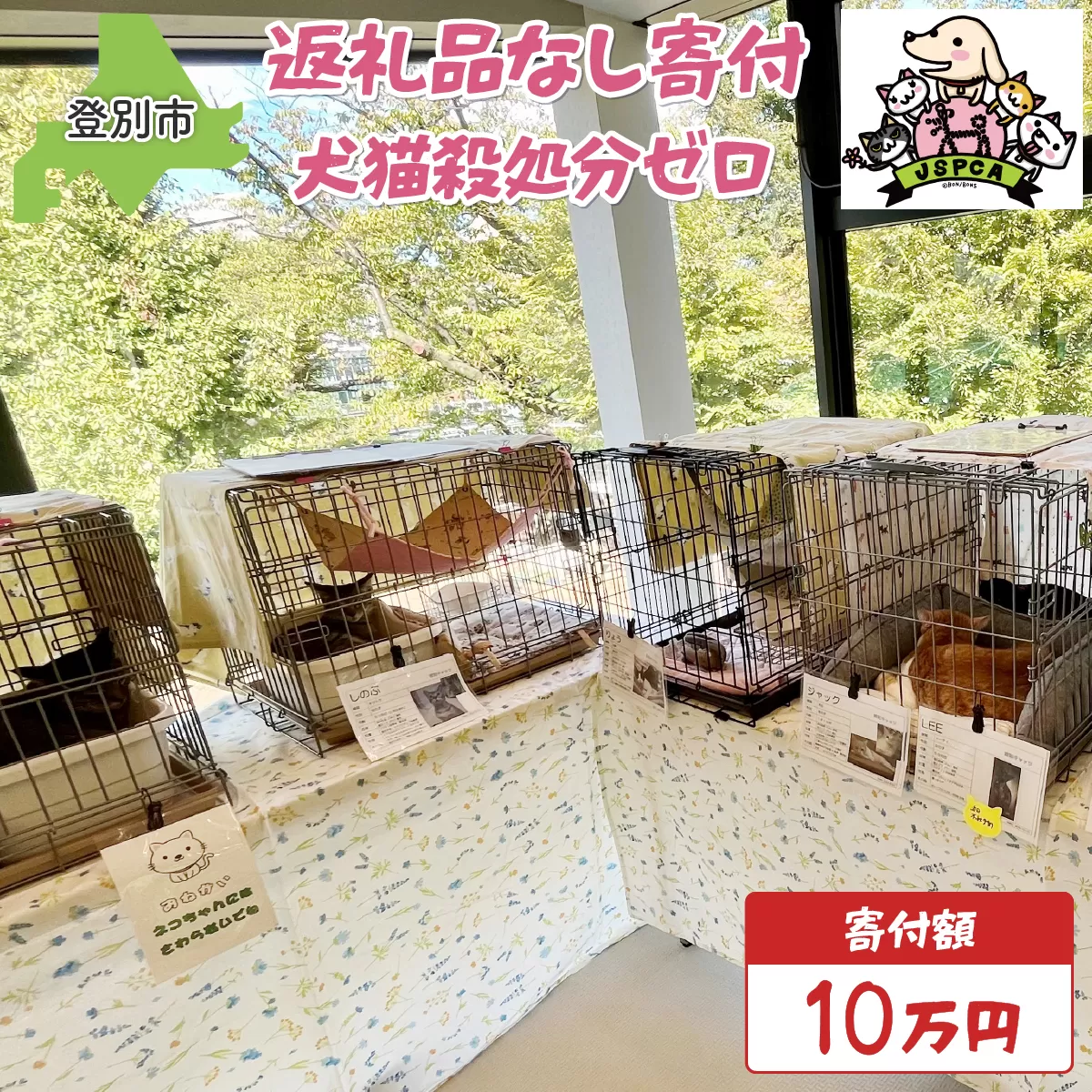 日本動物愛護協会殺処分低減活動への寄附【犬猫殺処分ゼロ】（返礼品なし）【MRI-AiD】【寄付額：10万円】