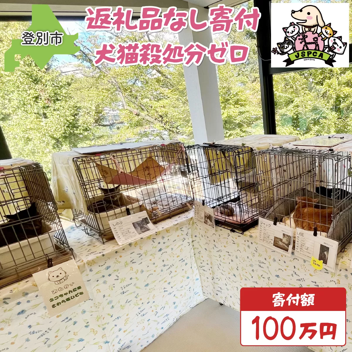日本動物愛護協会殺処分低減活動への寄附【犬猫殺処分ゼロ】（返礼品なし）【MRI-AiD】【寄付額：100万円】