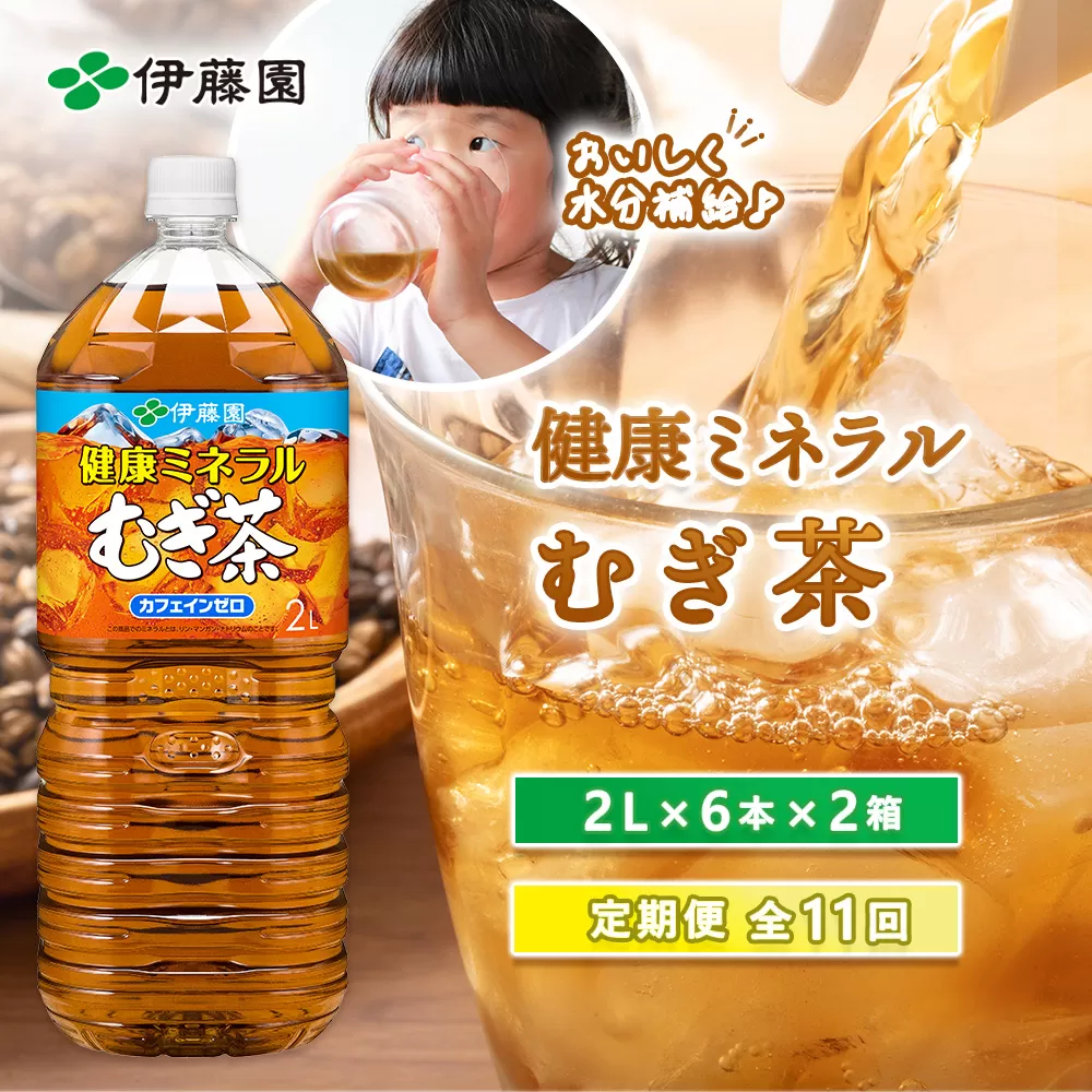 『定期便：全11回』健康ミネラルむぎ茶2L×6本×2箱【500023】