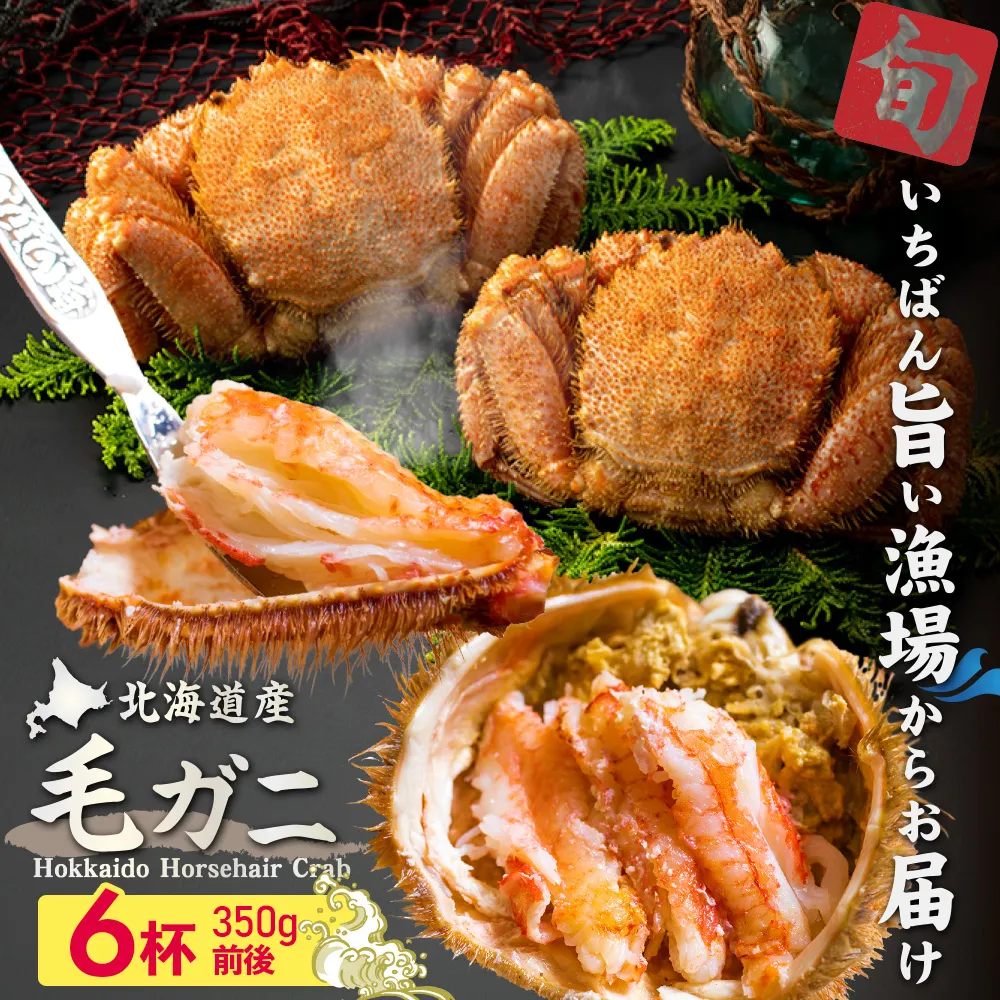 【北海道産】『冷凍』毛ガニ350g前後×6杯【急速冷凍】【52001702】