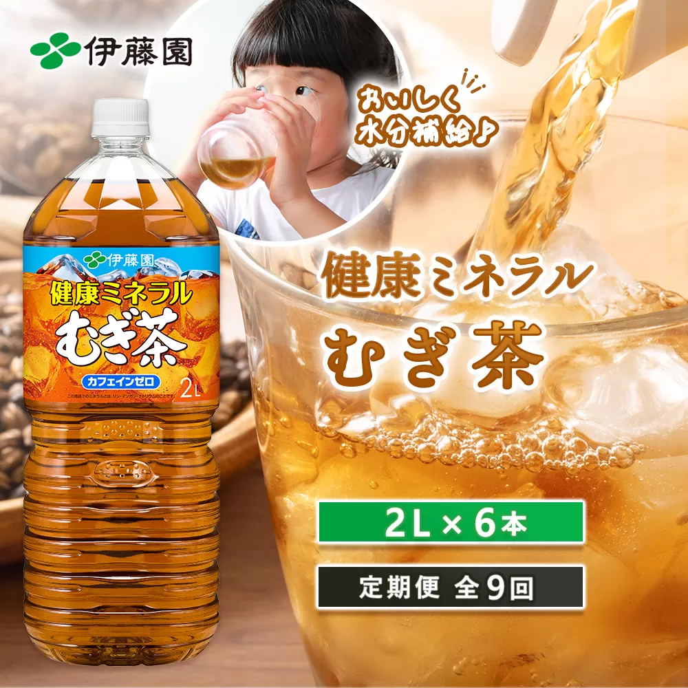 『定期便：全9回』健康ミネラルむぎ茶2L×6本【500003】