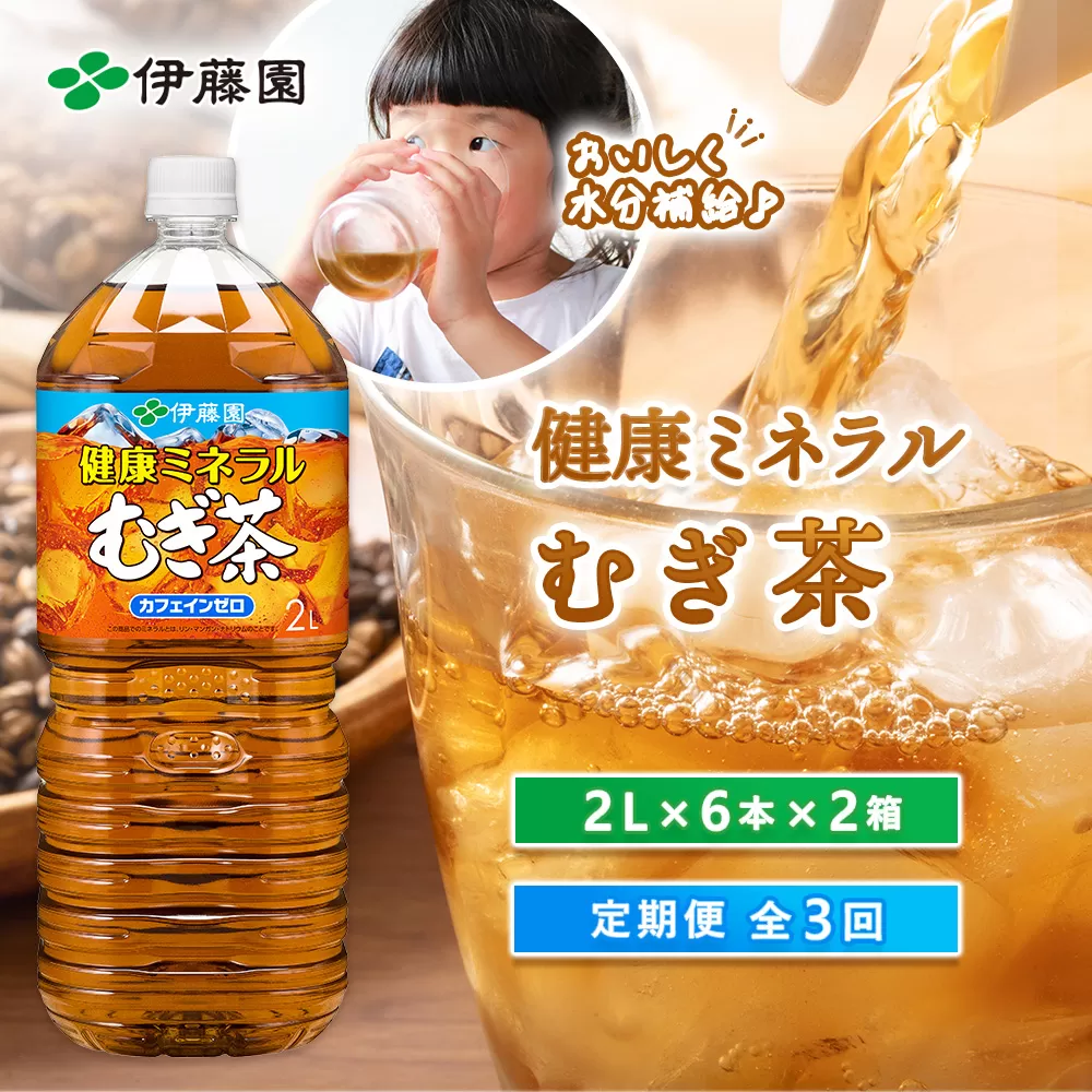 『定期便：全3回』健康ミネラル麦茶2L×6本×2箱【500005】
