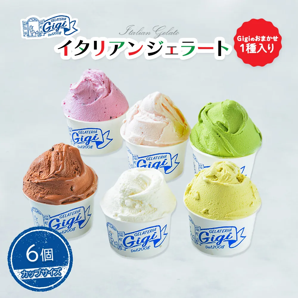 ジェラテリアGigiのイタリアンジェラート６種(Gigiのおまかせ1種入り）【カップサイズ6個】【43003202】