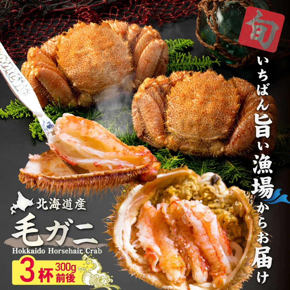 【北海道産】『冷凍』毛ガニ300g前後×3杯【急速冷凍】【52001403】