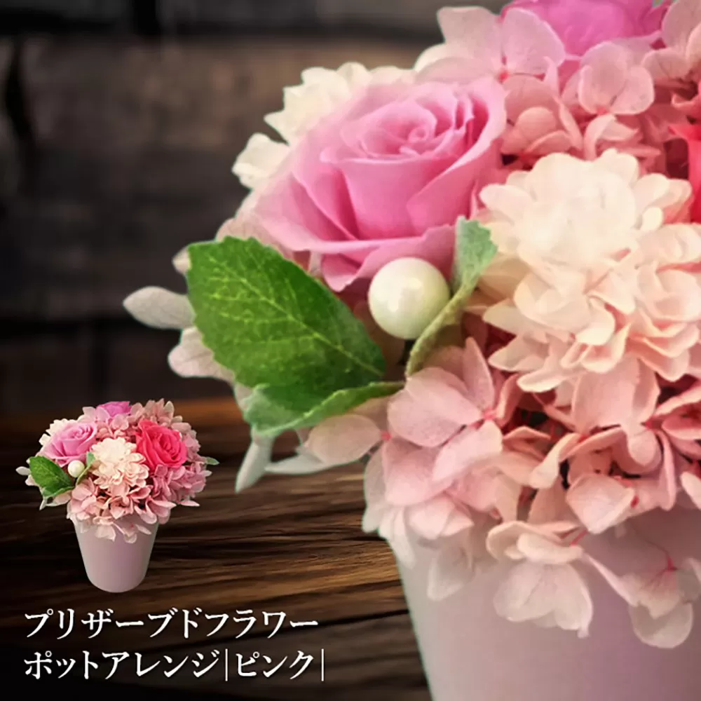 プリザーブドフラワー　ポットアレンジ（ピンク）【14001501】