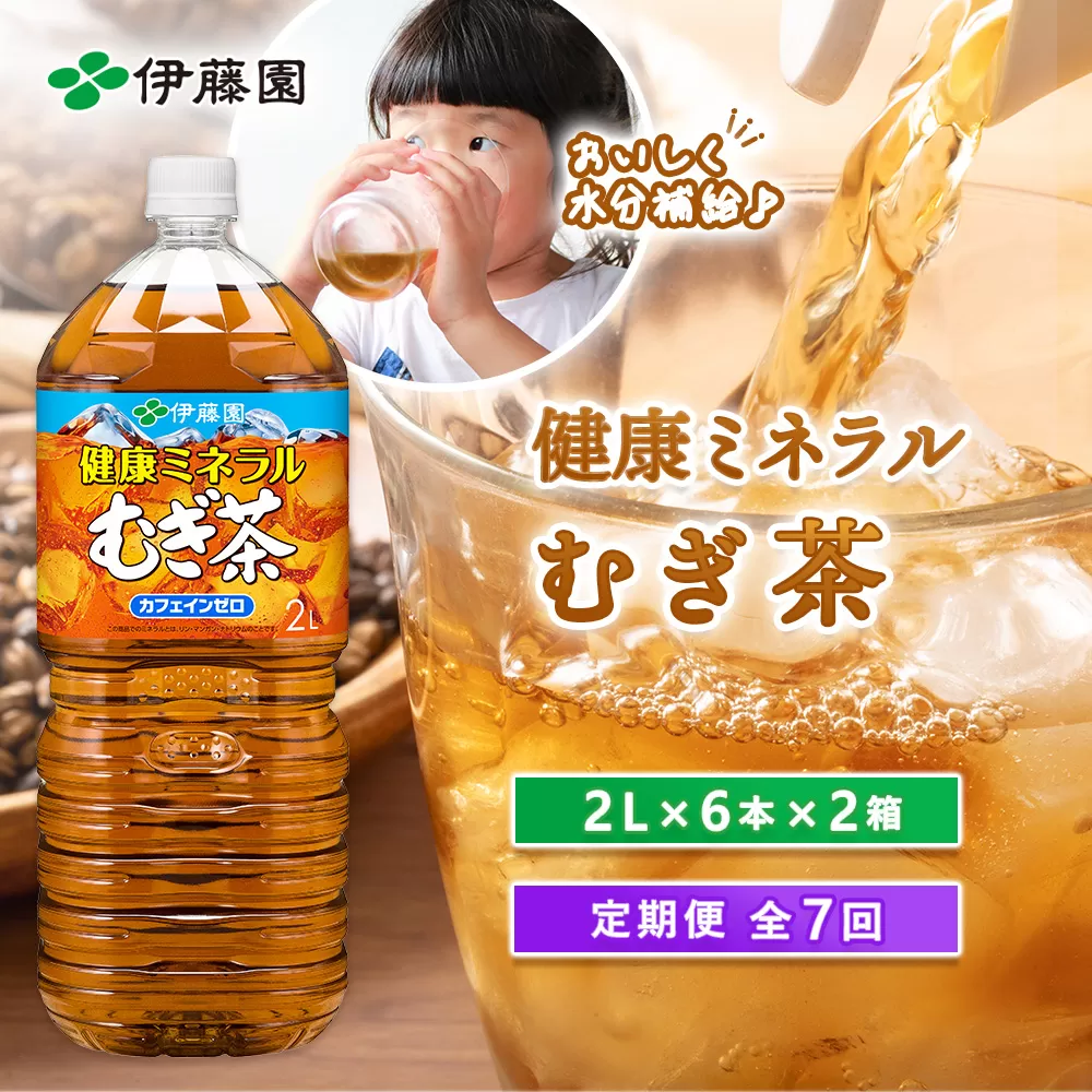 『定期便：全7回』健康ミネラルむぎ茶2L×6本×2箱【500019】