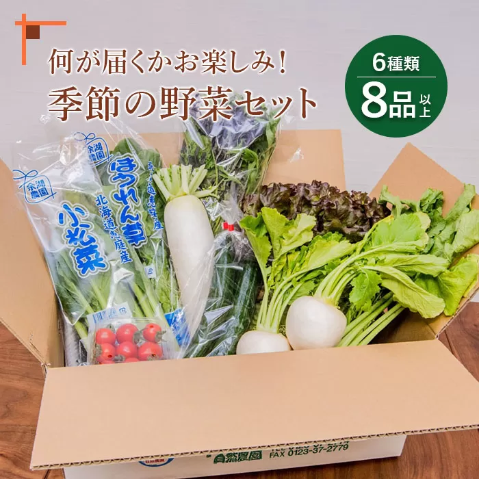 北海道産季節の野菜詰め合わせ 6種類8品【31000501】