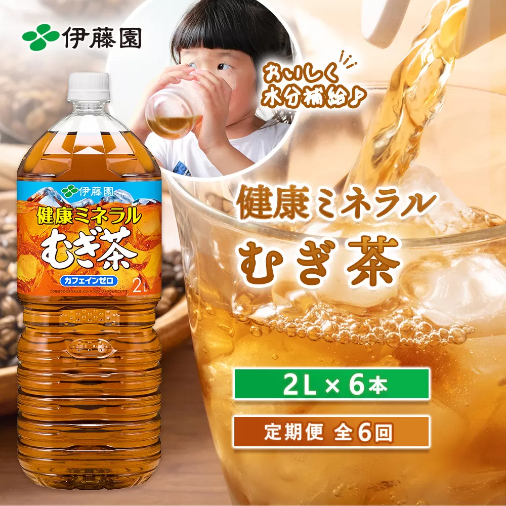 『定期便：全6回』健康ミネラルむぎ茶2L×6本【500002】
