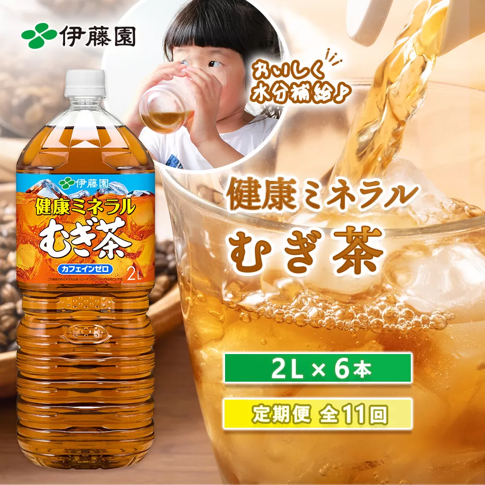 『定期便：全11回』健康ミネラルむぎ茶2L×6本【500014】