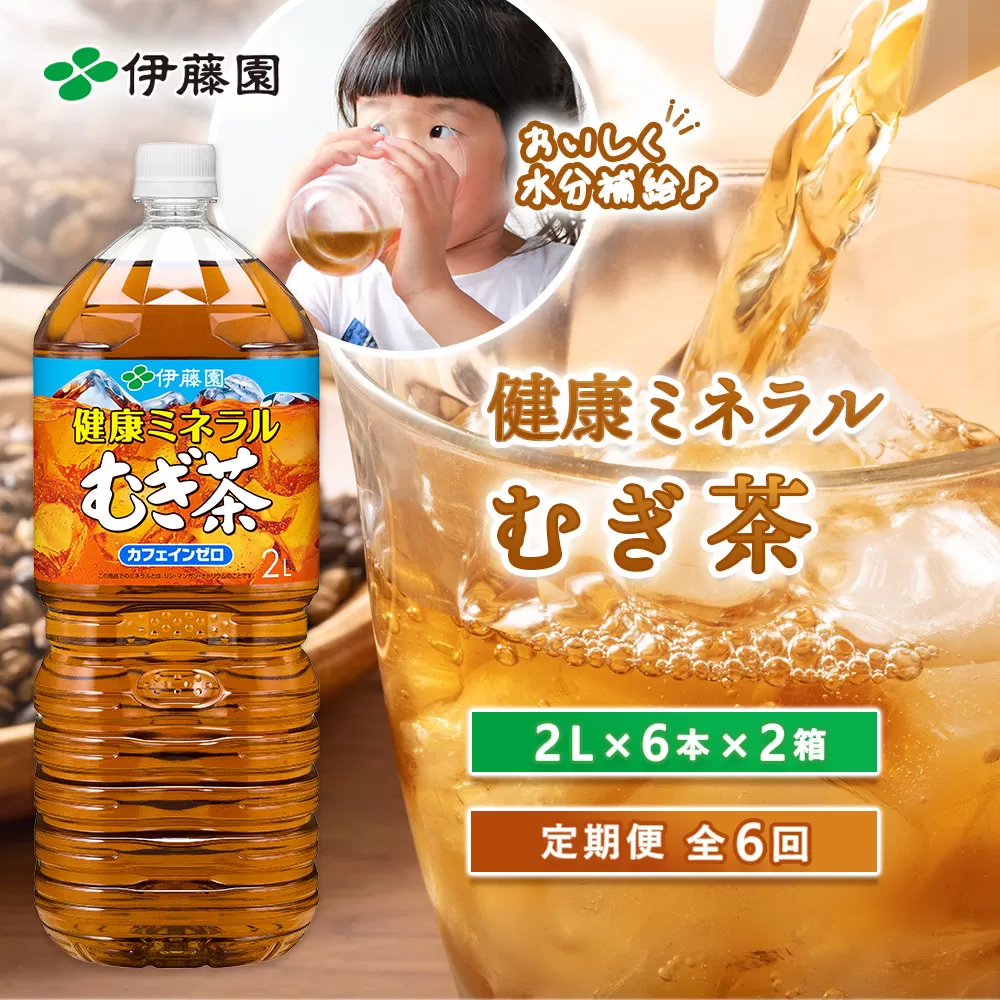 『定期便：全6回』健康ミネラル麦茶2L×6本×2箱【500006】