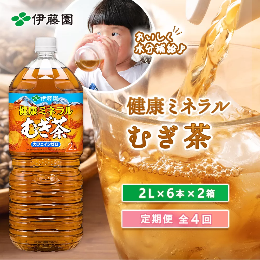 『定期便：全4回』健康ミネラルむぎ茶2L×6本×2箱【500017】