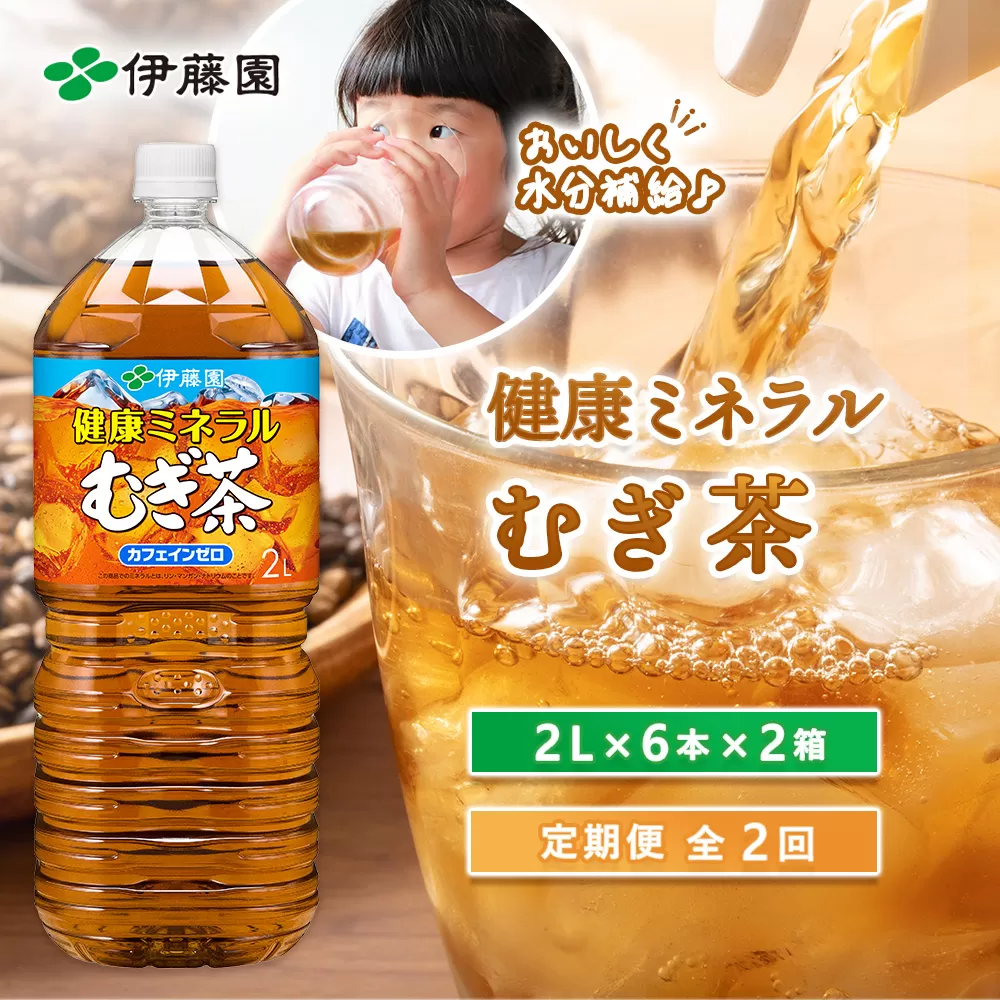 『定期便：全2回』健康ミネラルむぎ茶2L×6本×2箱【500016】
