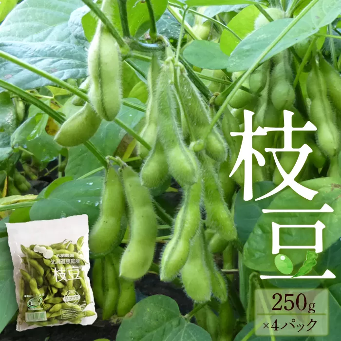 『★先行予約★8月初旬より順次発送』枝豆　250g×4パックセット　【31001301】